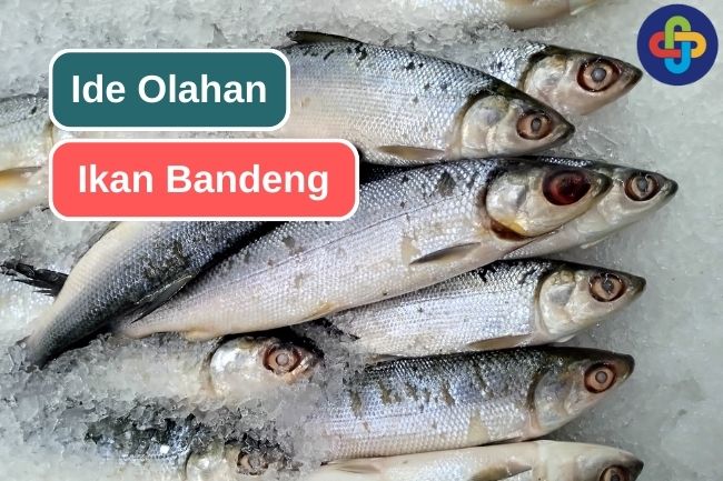 Inilah 5 Masakan Yang Menggunakan Ikan Bandeng